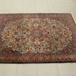 877 2611 ORIENTAL RUG